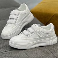 photo 58 2025 09 07 17 45 28