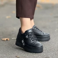 ونس لژدار پروانه